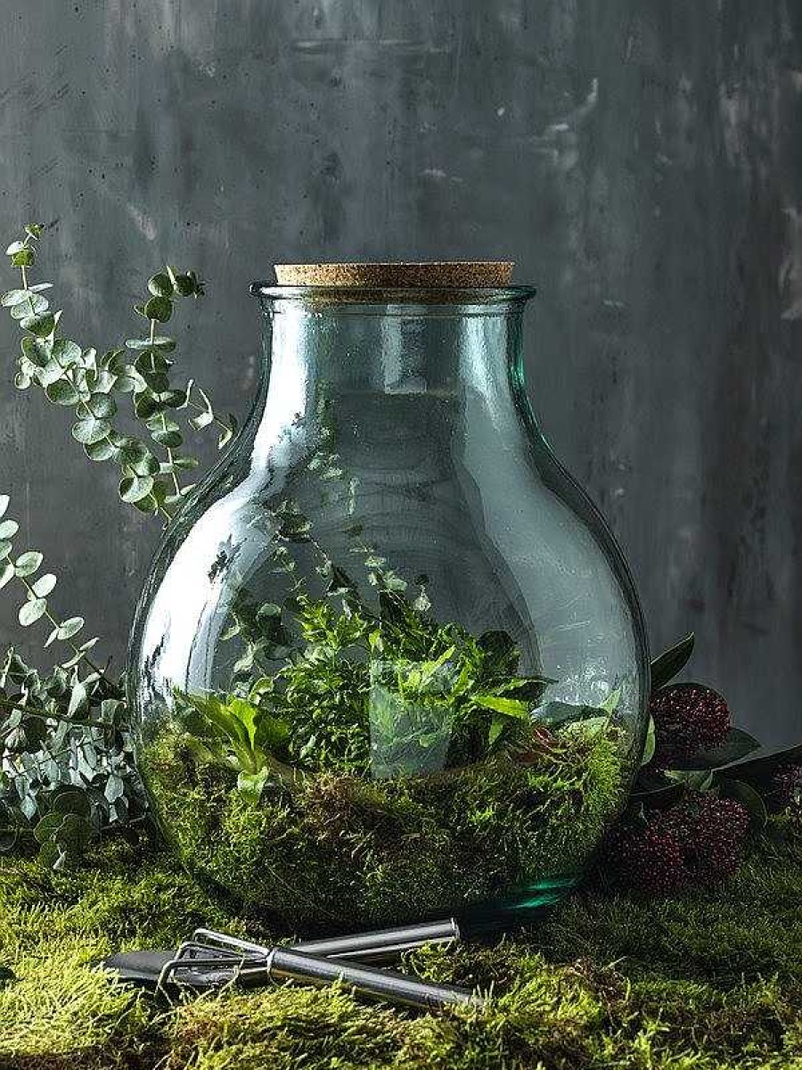 Accessories Mister Tee | Terrarium En Verre Recycle A Personnaliser